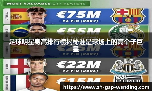 足球明星身高排行榜揭秘谁是球场上的高个子巨星
