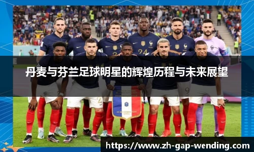 丹麦与芬兰足球明星的辉煌历程与未来展望